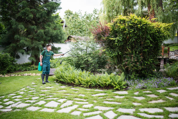 Best Affordable Pest Control Services  in Largo, MD