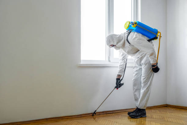 Best Termite Control Services  in Largo, MD