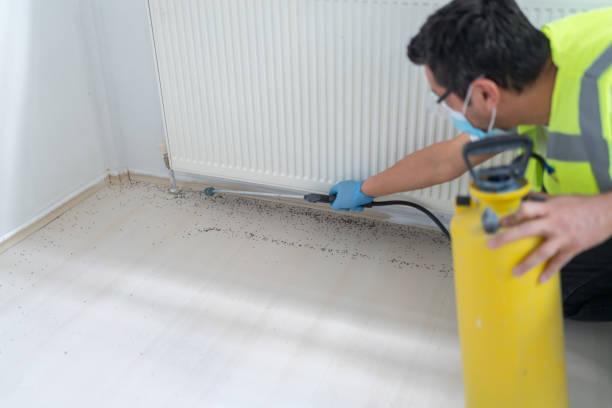 Best Wasp Removal Services  in Largo, MD