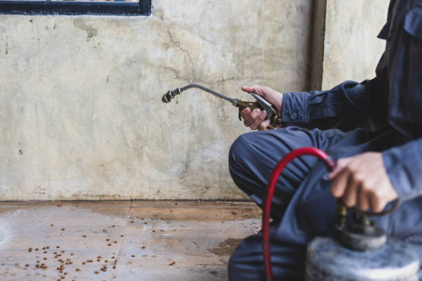 Best Mosquito Control Services  in Largo, MD